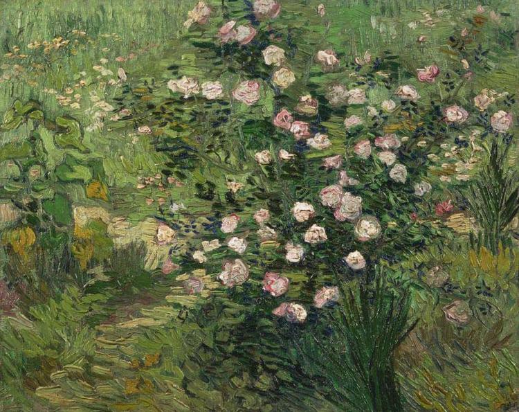 Vincent Van Gogh Roses France oil painting art